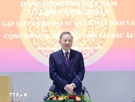 Party leader hails solidarity, contributions of Vietnamese communities in Nordic countries